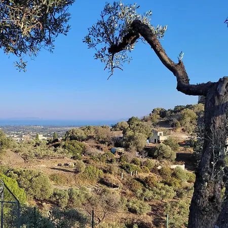 Confortable Vue Sur Oda ve Kahvaltı 3*